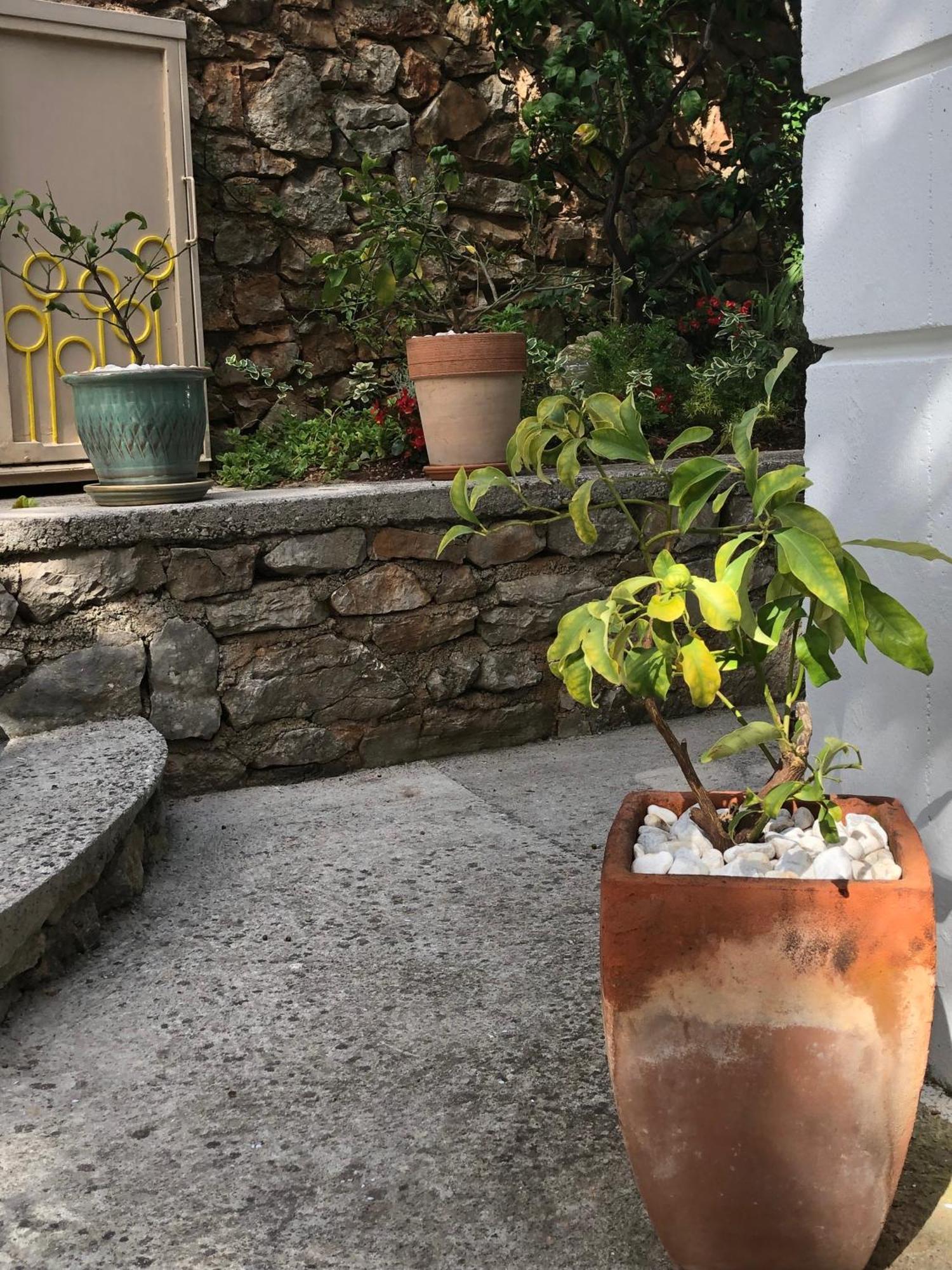 Apartments Veli Lošinj Kültér fotó