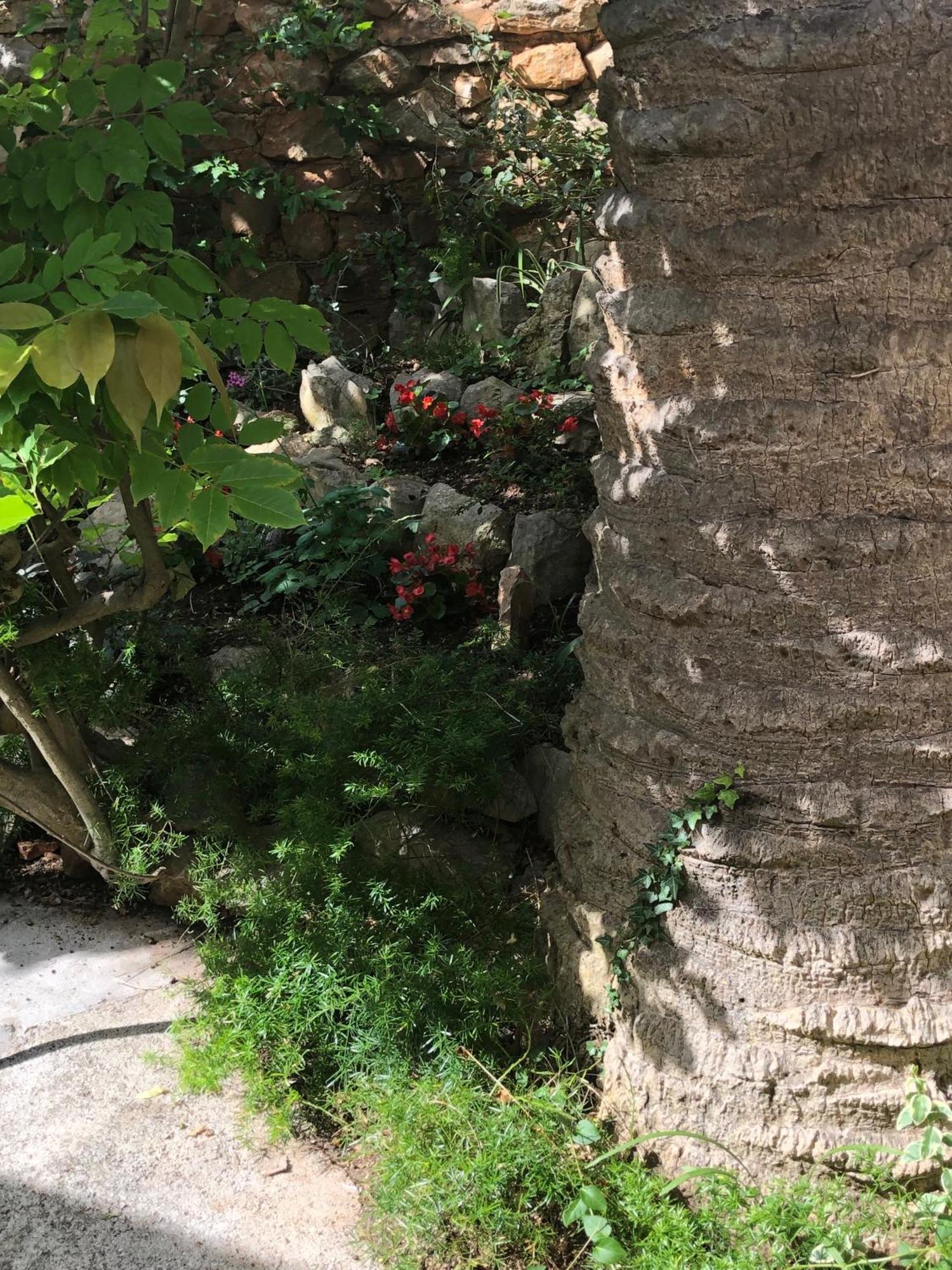 Apartments Veli Lošinj Kültér fotó