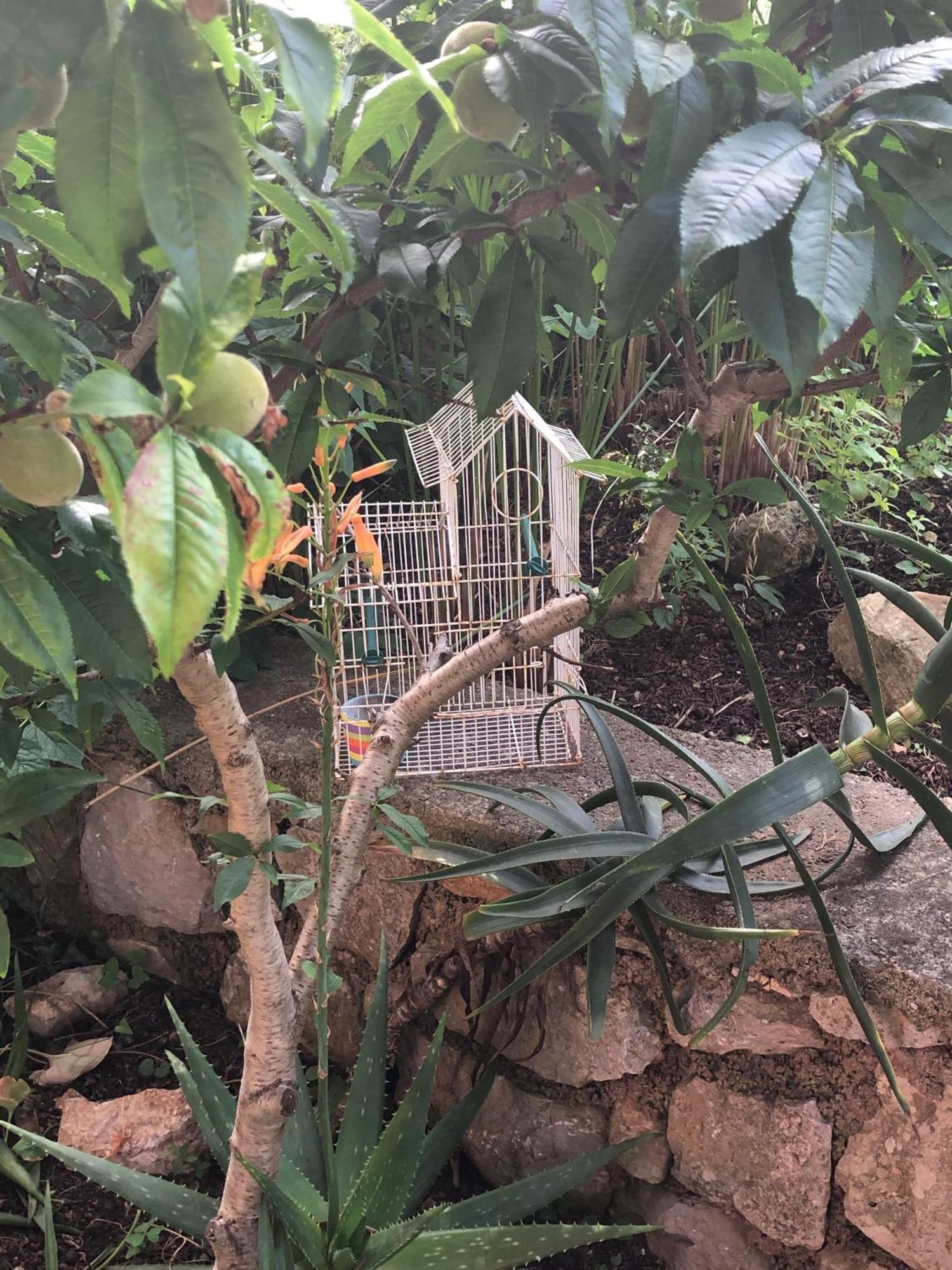Apartments Veli Lošinj Kültér fotó