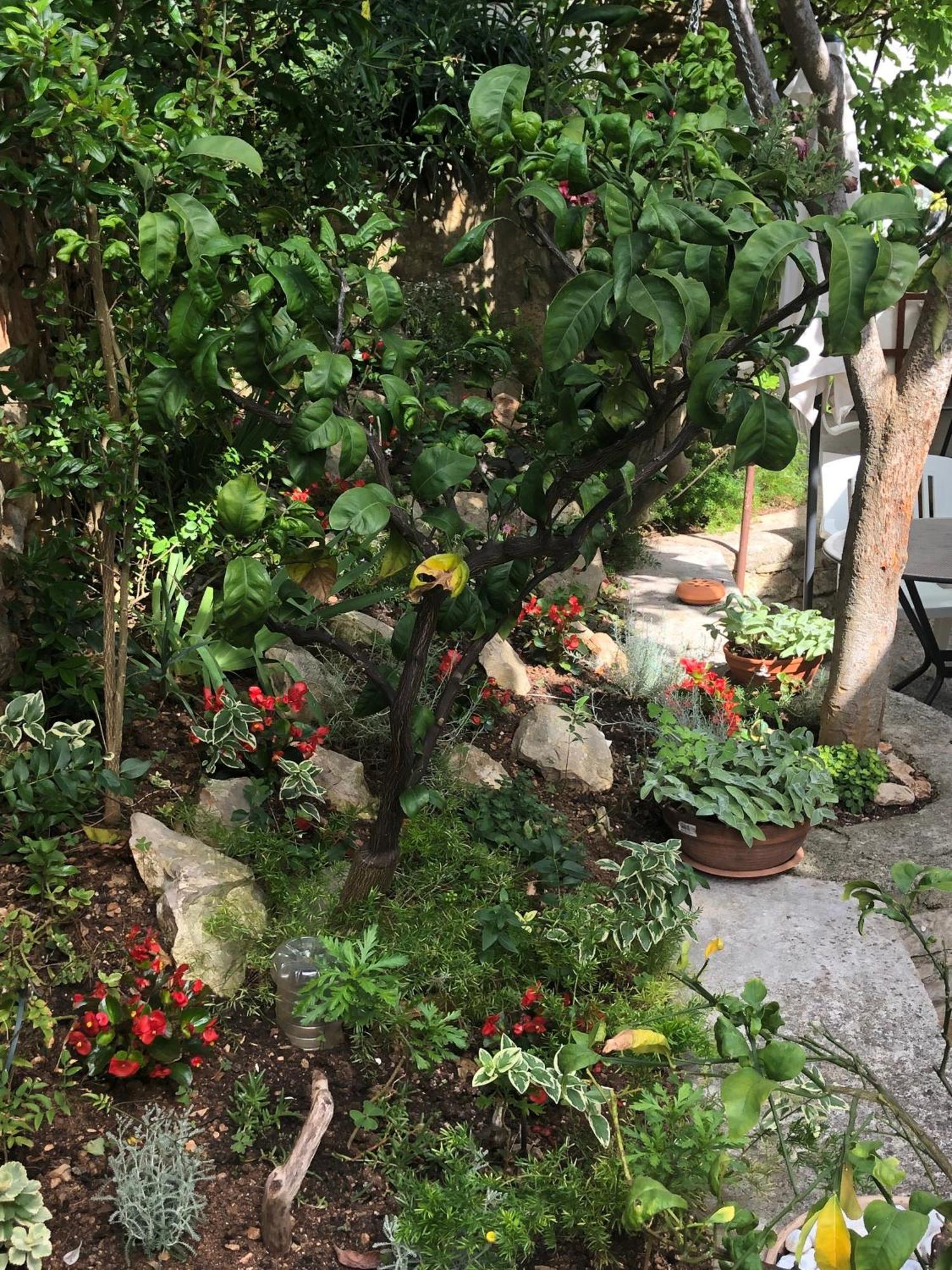 Apartments Veli Lošinj Kültér fotó