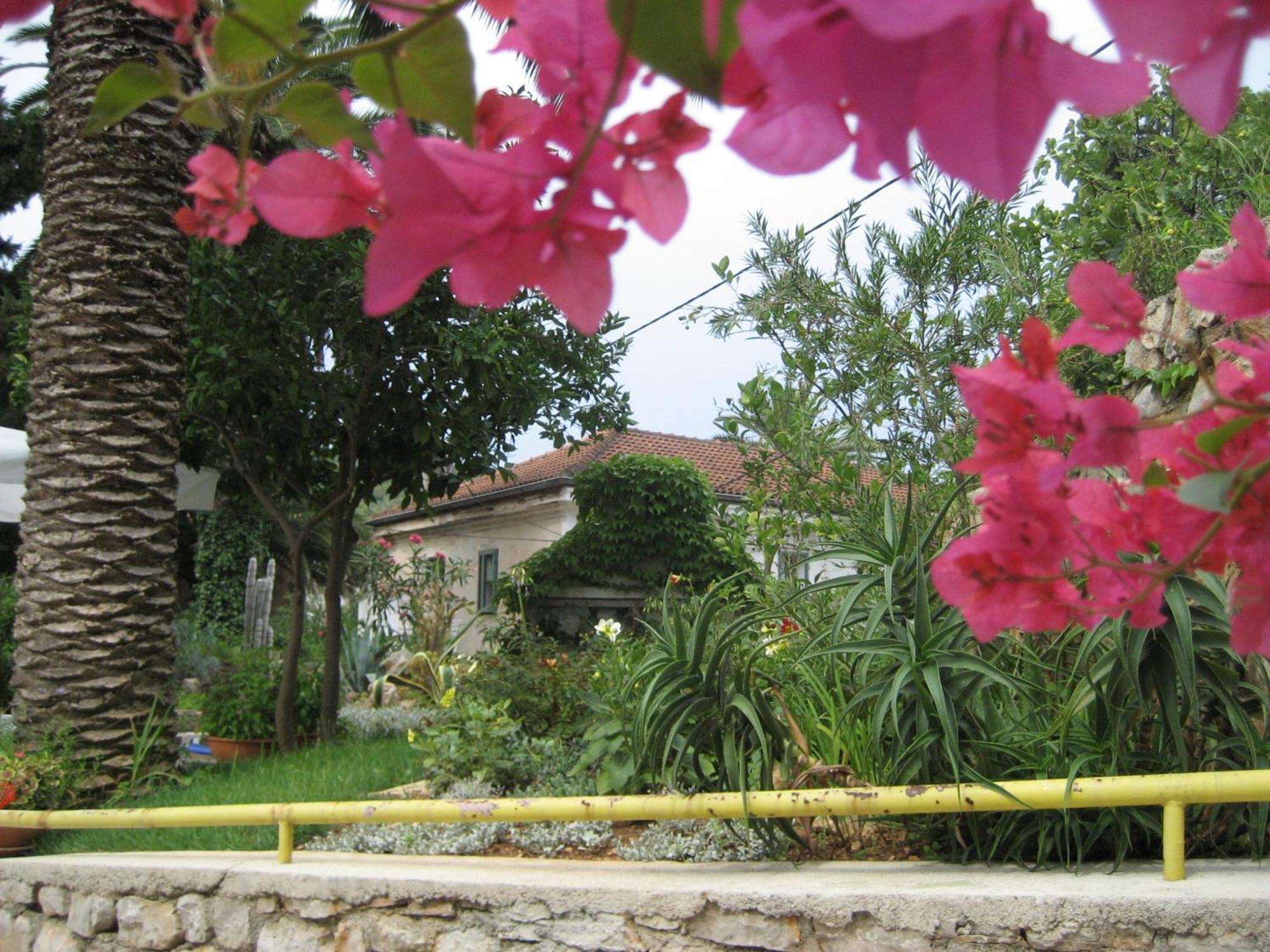 Apartments Veli Lošinj Kültér fotó