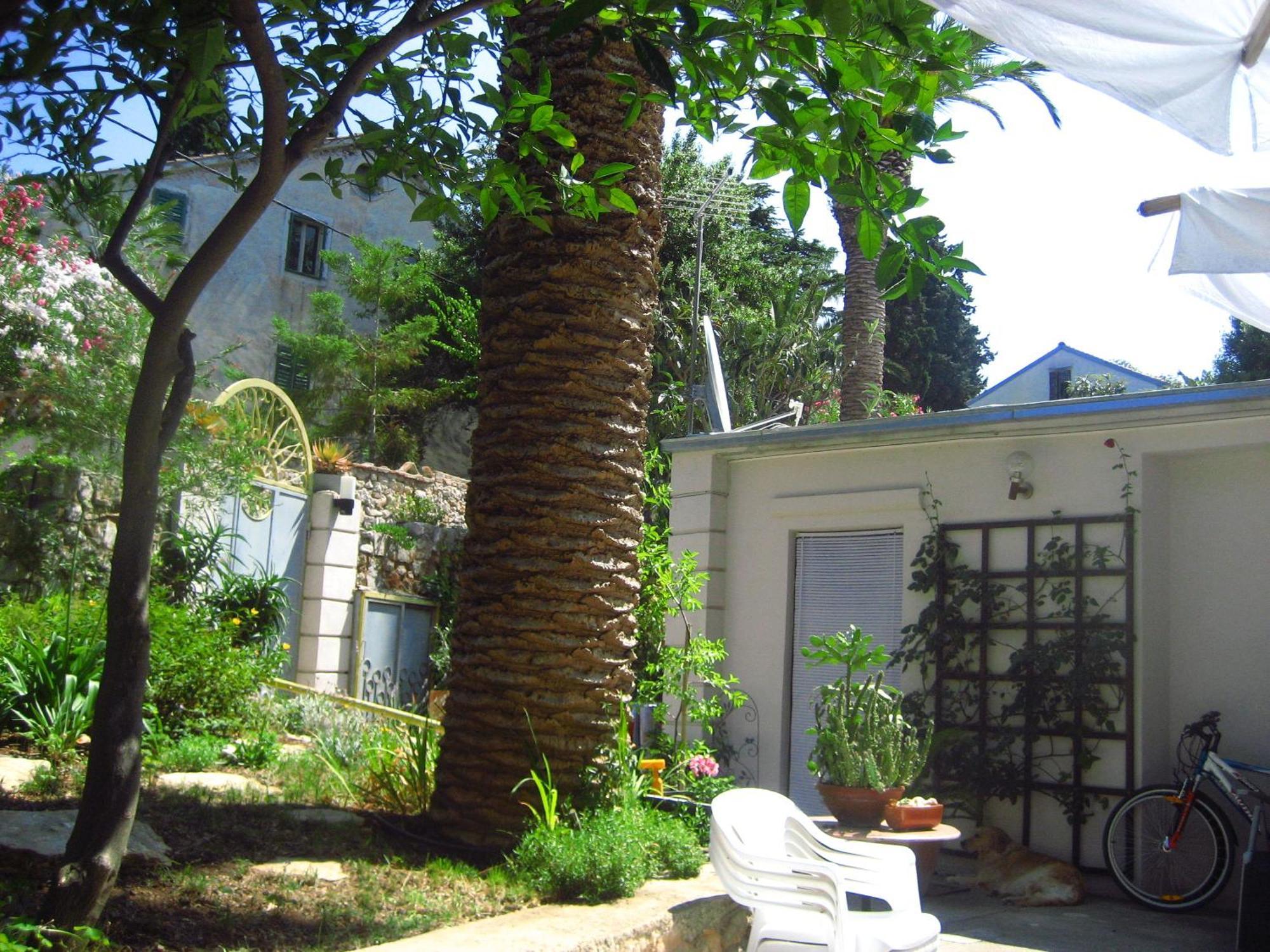 Apartments Veli Lošinj Kültér fotó